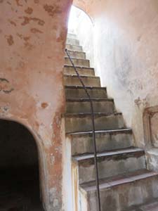 NbNĊg